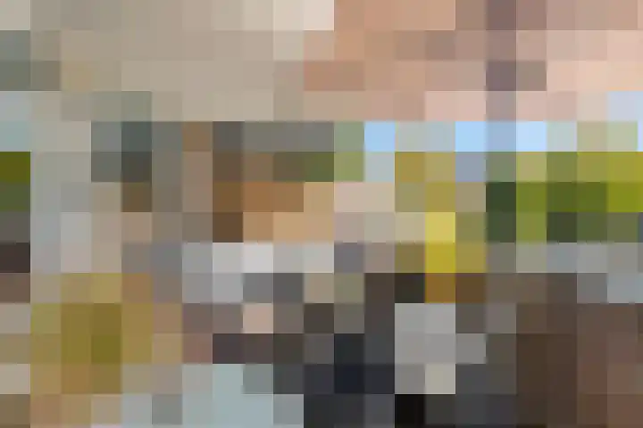 Mari Andriessenrade 54 Capelle aan den IJssel thumbnail 29