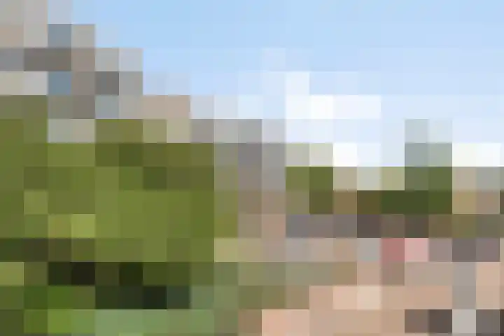 Mari Andriessenrade 54 Capelle aan den IJssel thumbnail 35