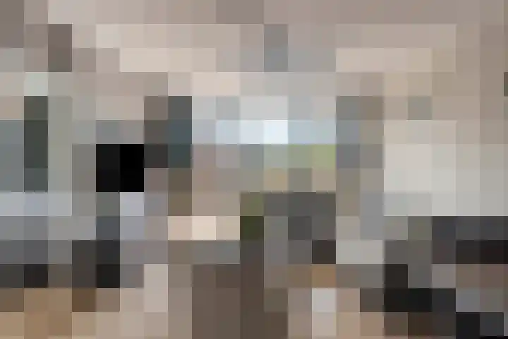 Mari Andriessenrade 54 Capelle aan den IJssel thumbnail 4