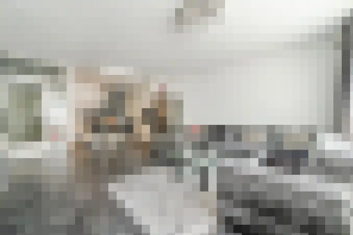 Mari Andriessenrade 57 Capelle aan den IJssel thumbnail 11