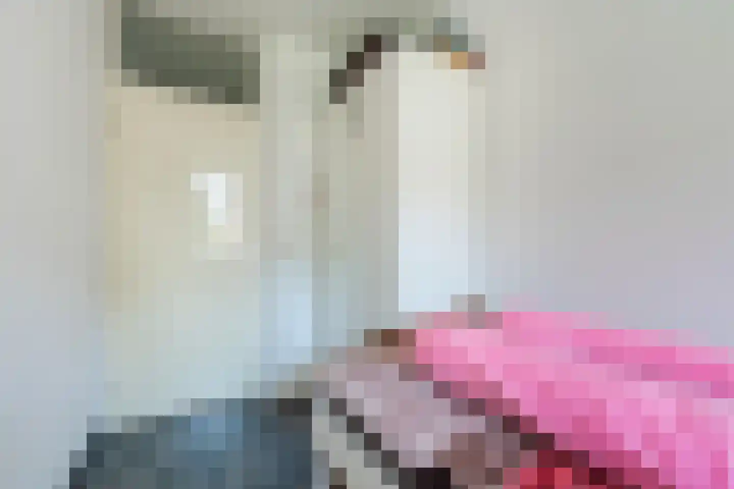 Mari Andriessenrade 57 Capelle aan den IJssel thumbnail 25
