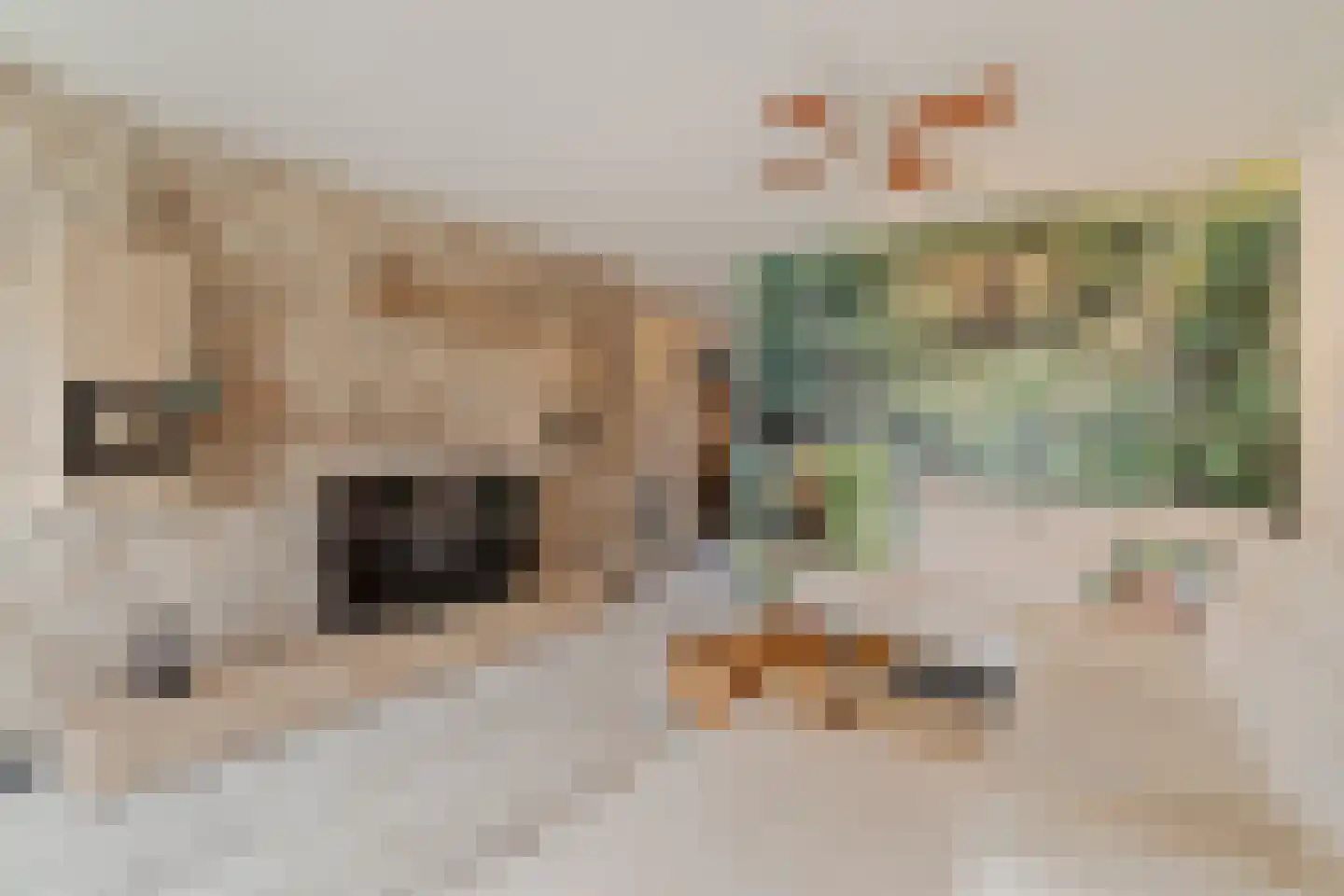 Mari Andriessenrade 6 Capelle aan den IJssel thumbnail 11