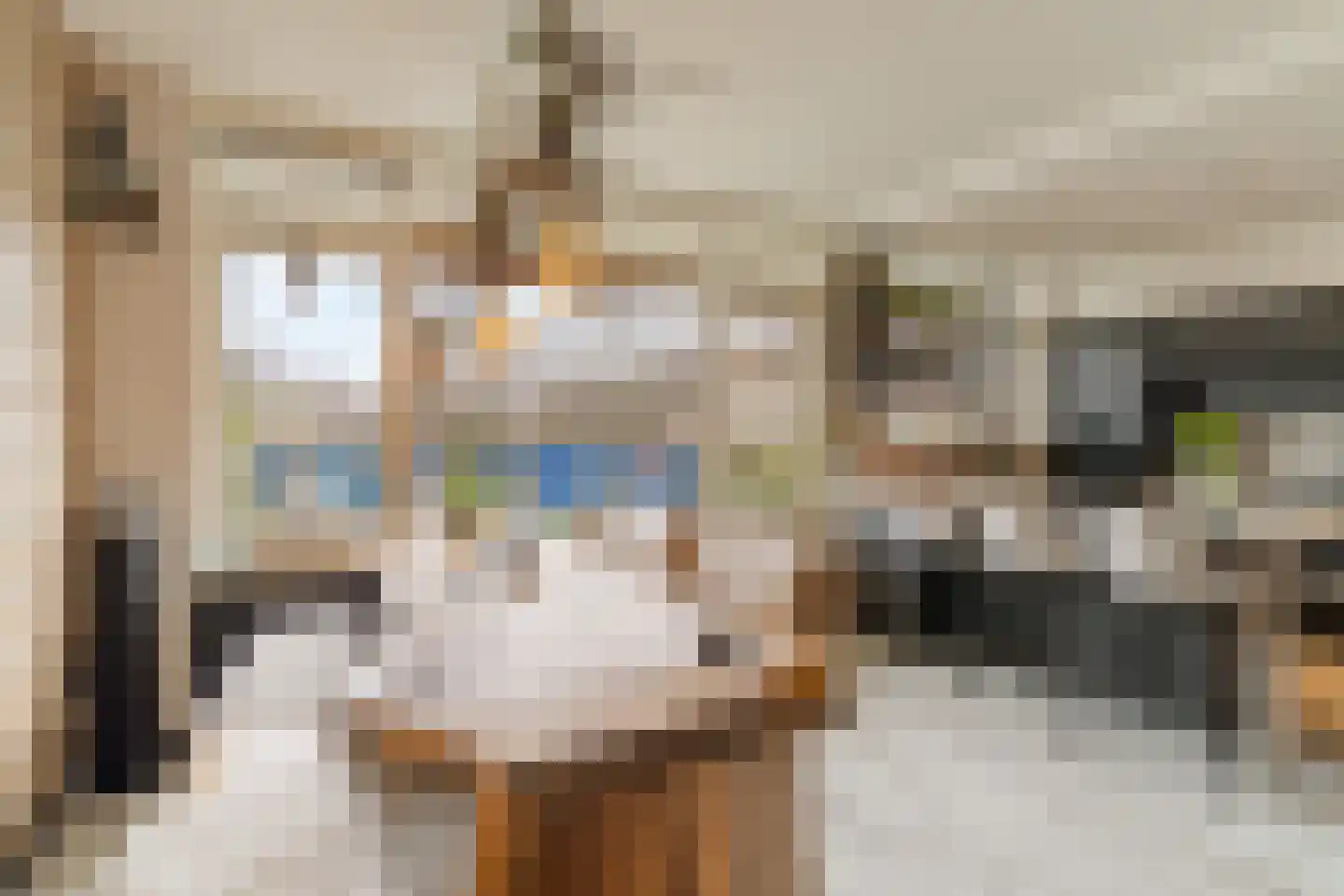 Mari Andriessenrade 6 Capelle aan den IJssel thumbnail 12