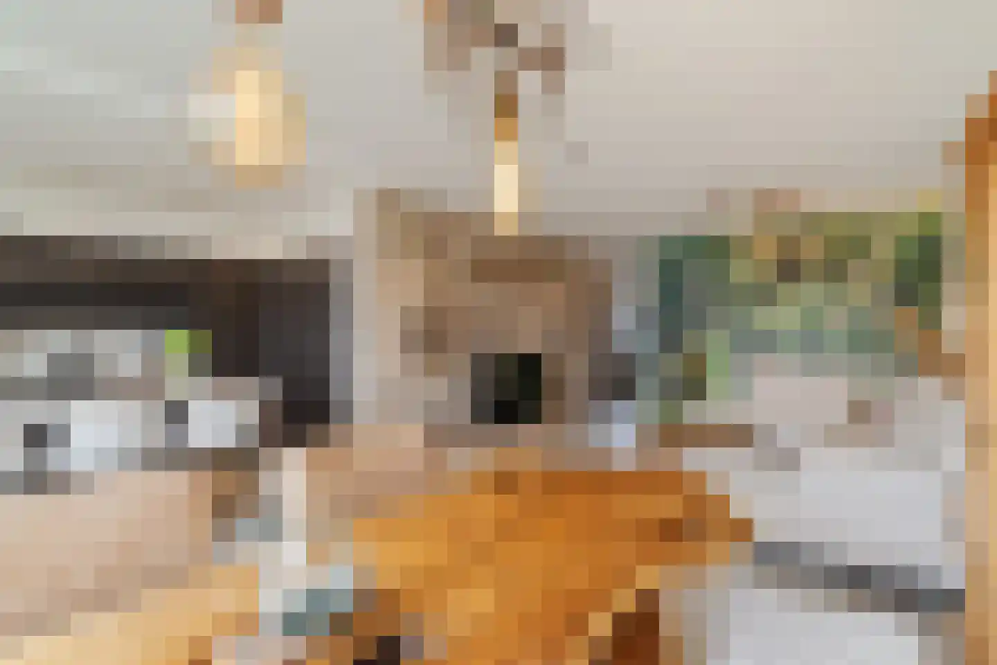 Mari Andriessenrade 6 Capelle aan den IJssel thumbnail 19