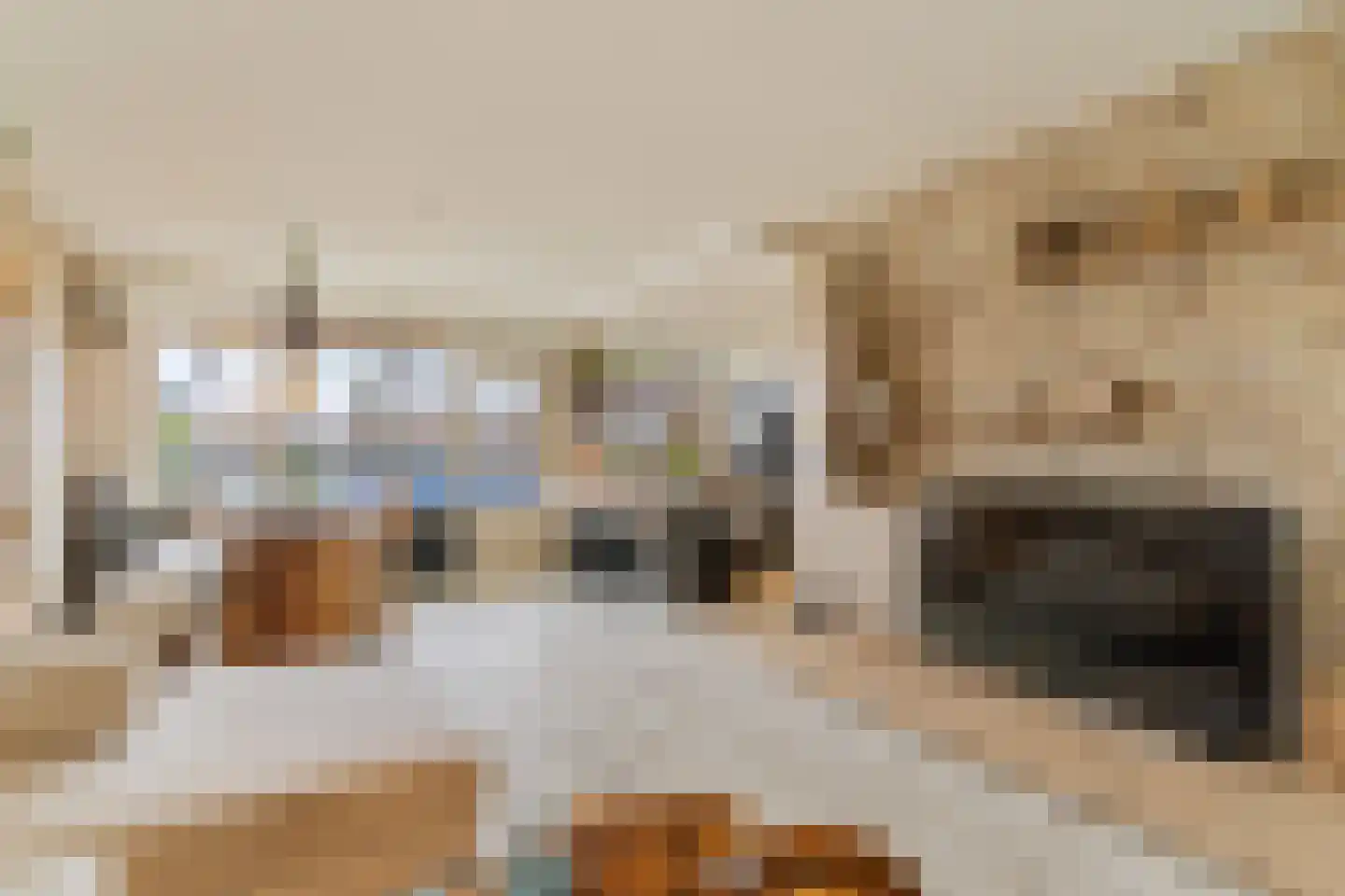 Mari Andriessenrade 6 Capelle aan den IJssel thumbnail 20