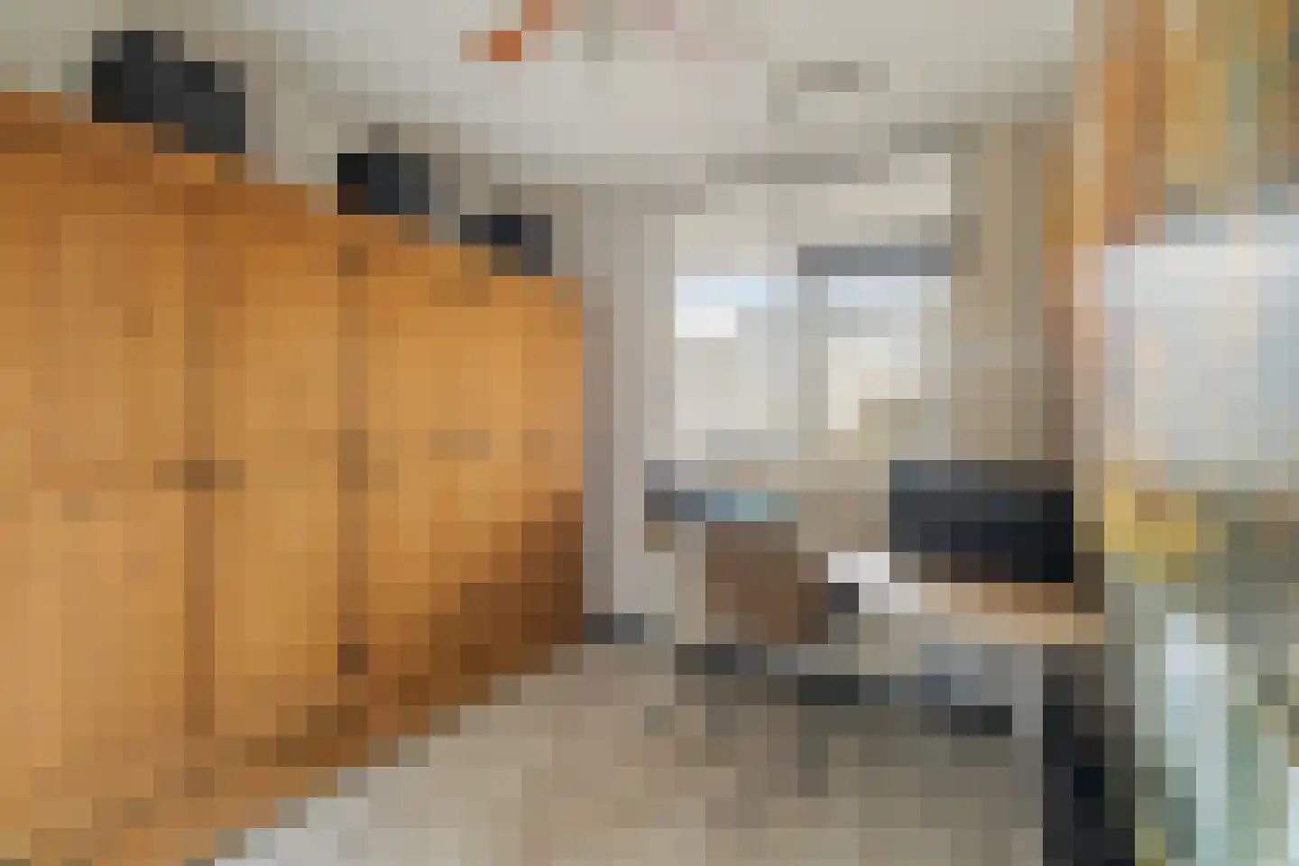 Mari Andriessenrade 6 Capelle aan den IJssel thumbnail 25