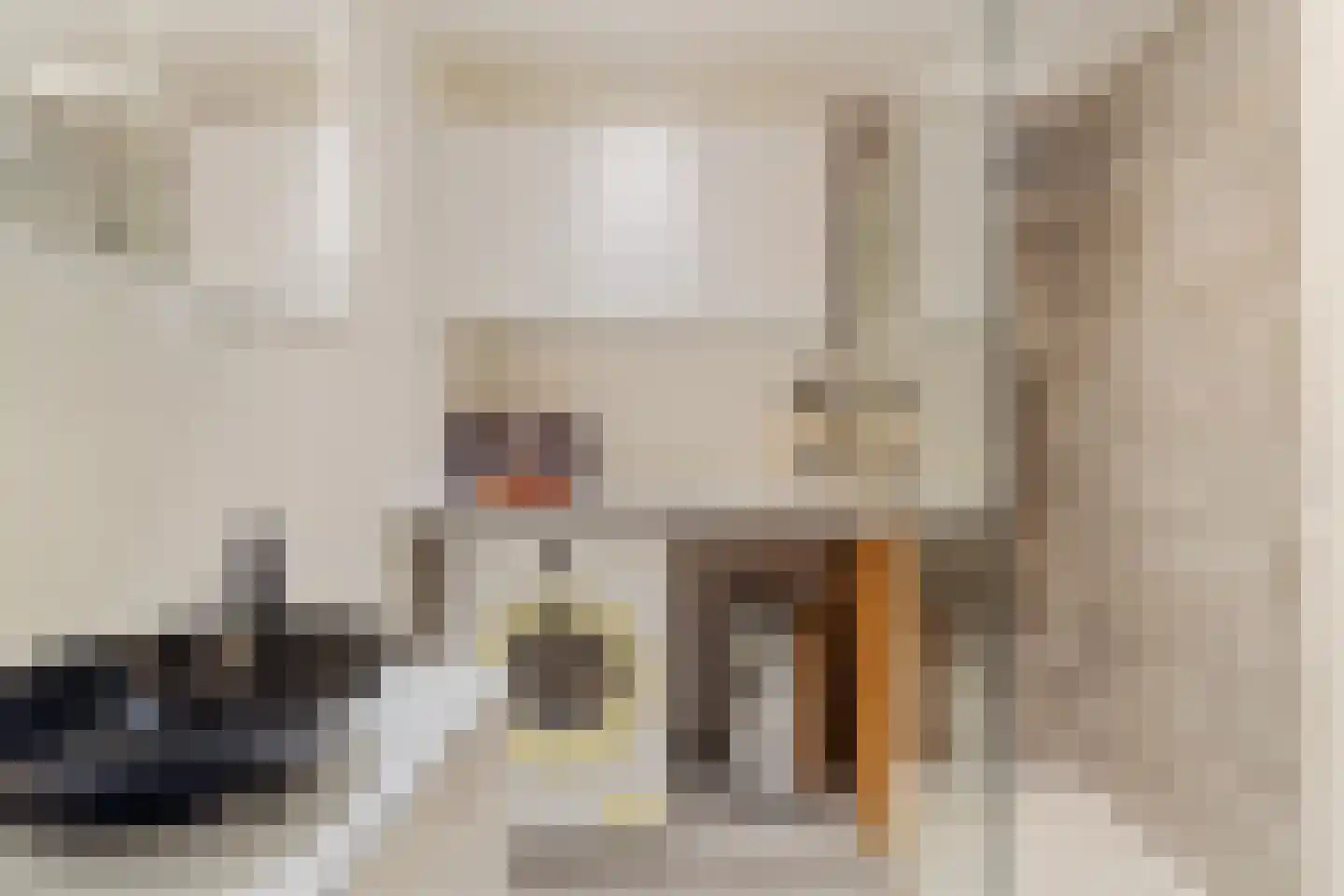 Mari Andriessenrade 6 Capelle aan den IJssel thumbnail 26