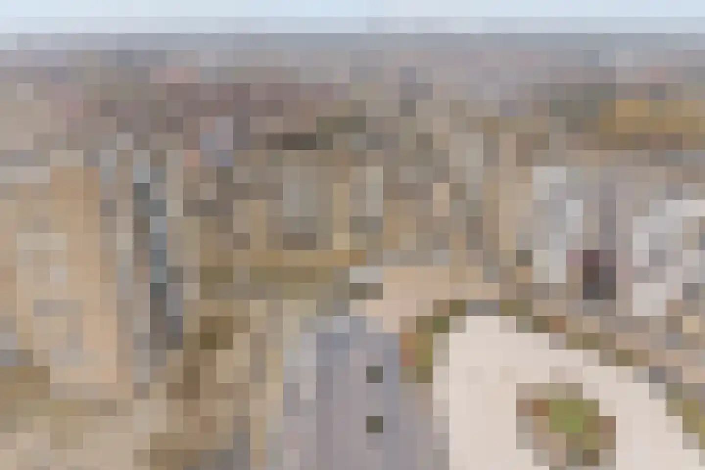 Mari Andriessenrade 6 Capelle aan den IJssel thumbnail 31