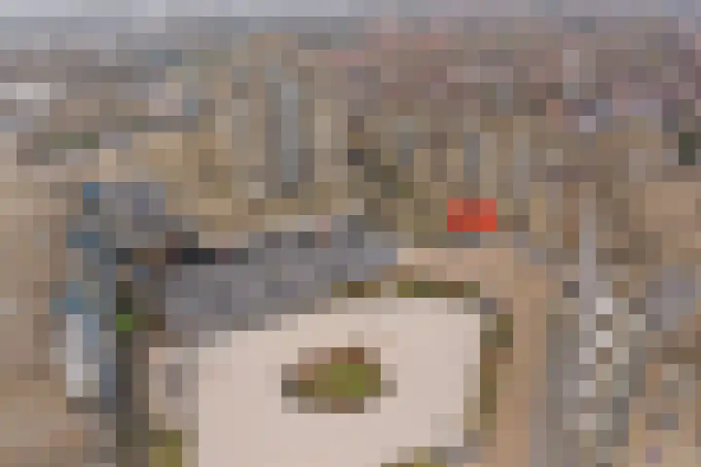 Mari Andriessenrade 6 Capelle aan den IJssel thumbnail 6