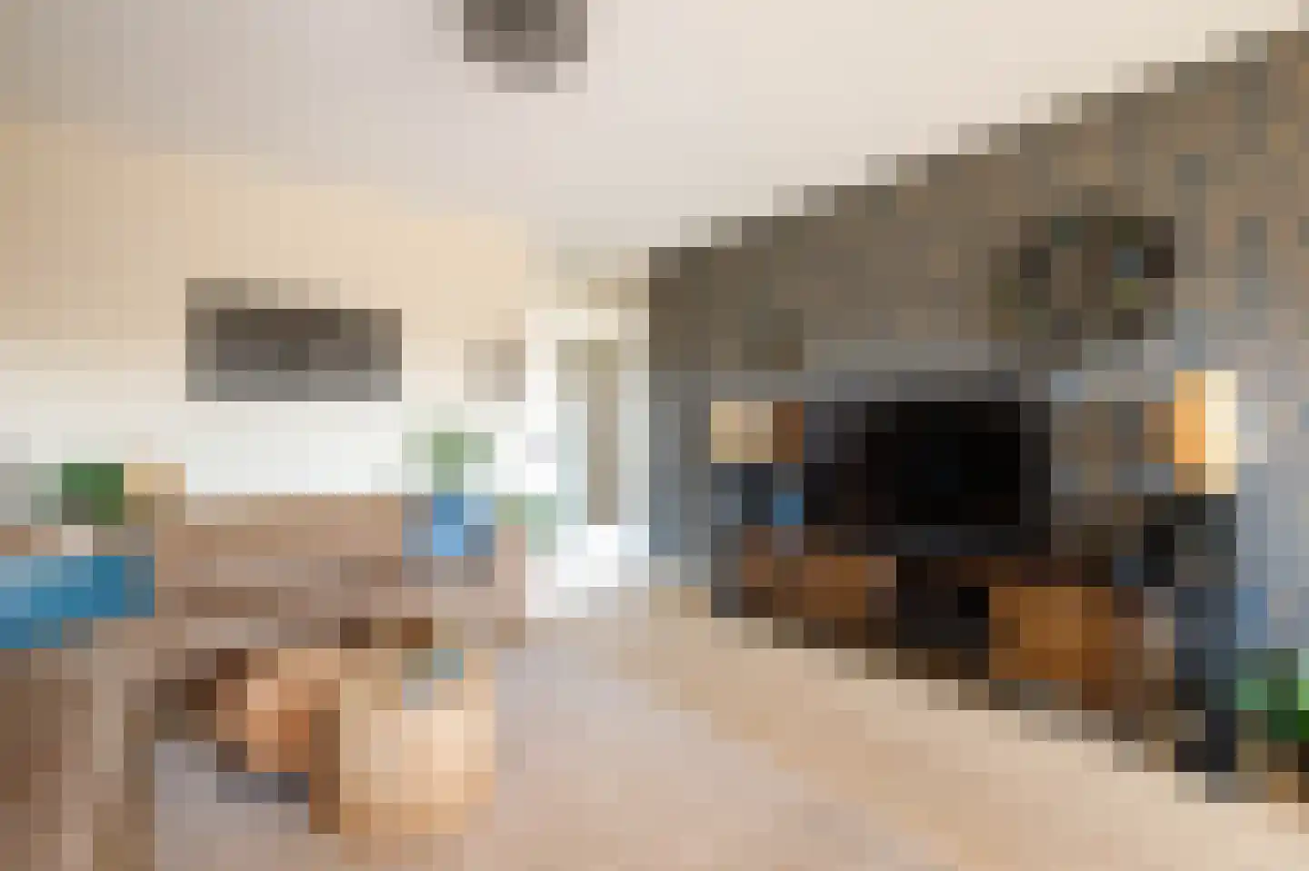 Mari Andriessenrade 60 Capelle aan den IJssel thumbnail 13