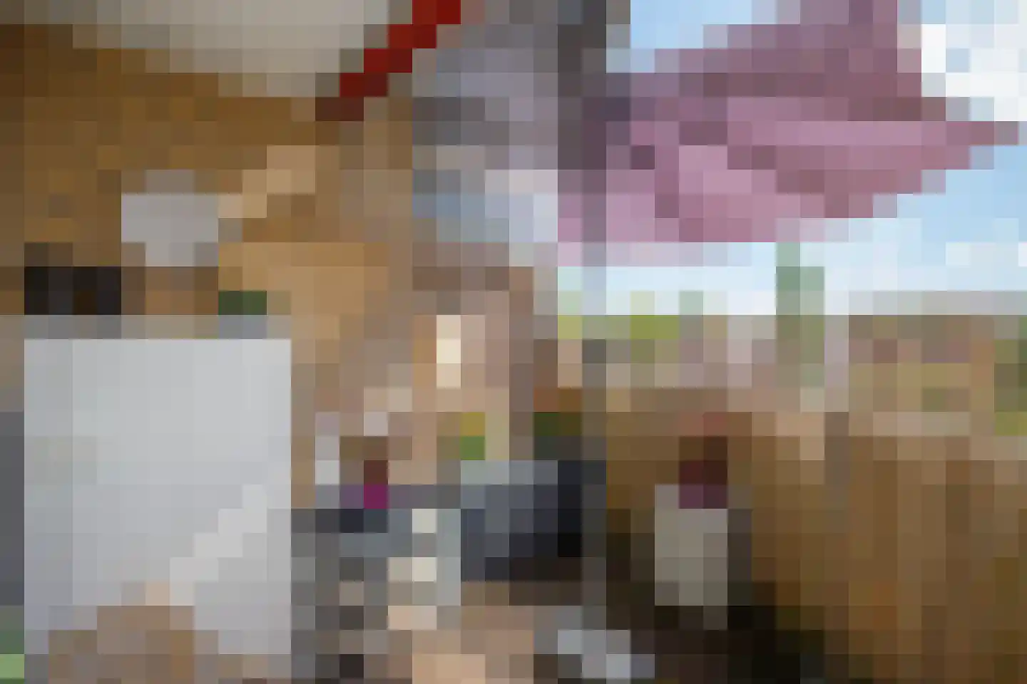 Mari Andriessenrade 60 Capelle aan den IJssel thumbnail 23