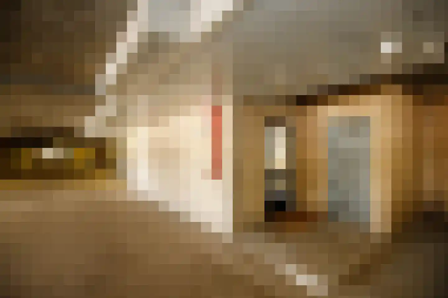 Mari Andriessenrade 60 Capelle aan den IJssel thumbnail 32