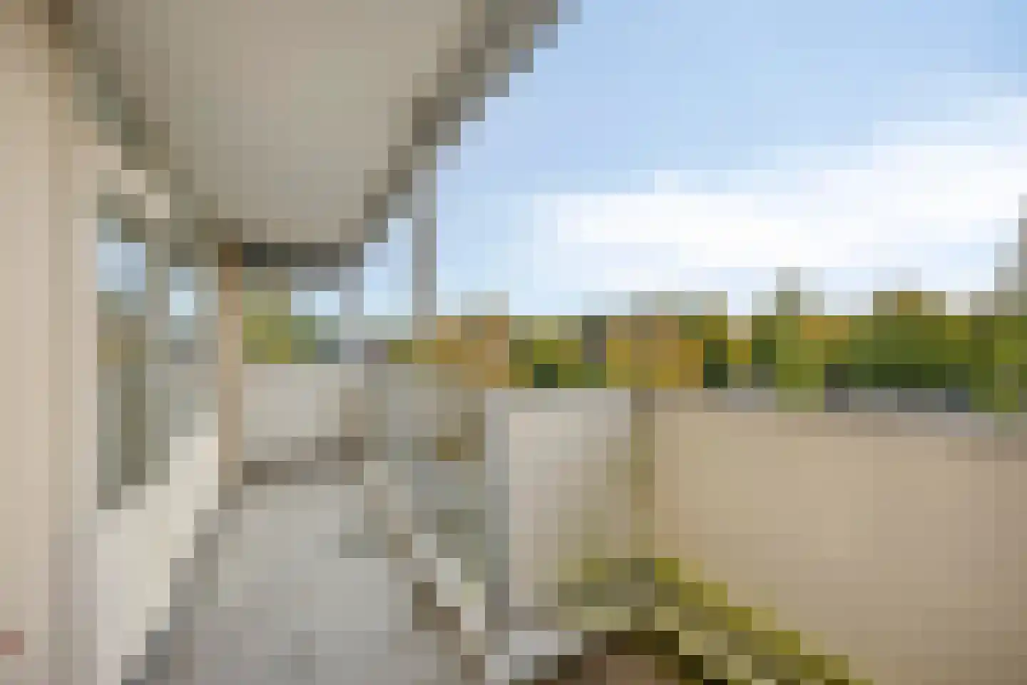 Mari Andriessenrade 66 Capelle aan den IJssel thumbnail 7