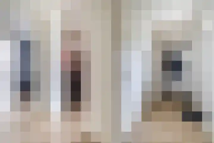 Mari Andriessenrade 70 Capelle aan den IJssel thumbnail 13