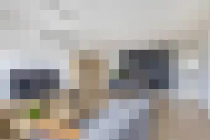 Mari Andriessenrade 70 Capelle aan den IJssel thumbnail 16