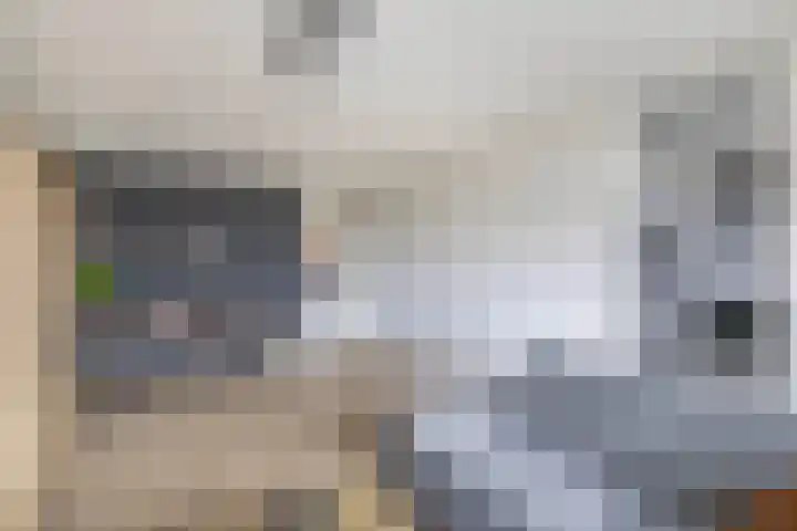 Mari Andriessenrade 70 Capelle aan den IJssel thumbnail 17