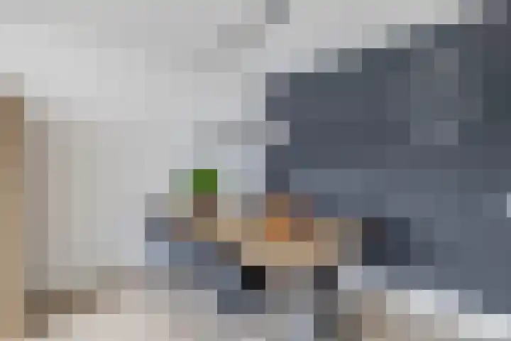 Mari Andriessenrade 70 Capelle aan den IJssel thumbnail 19