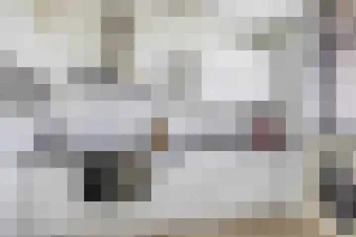 Mari Andriessenrade 70 Capelle aan den IJssel thumbnail 20