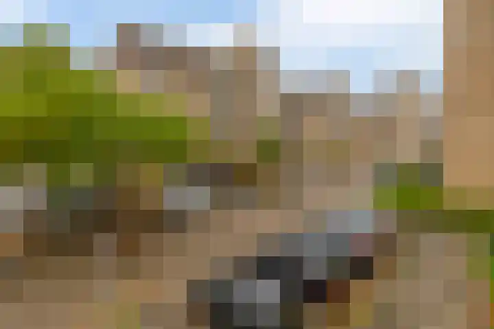 Mari Andriessenrade 70 Capelle aan den IJssel thumbnail 5