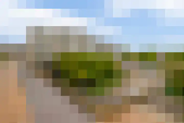 Mari Andriessenrade 70 Capelle aan den IJssel thumbnail 7
