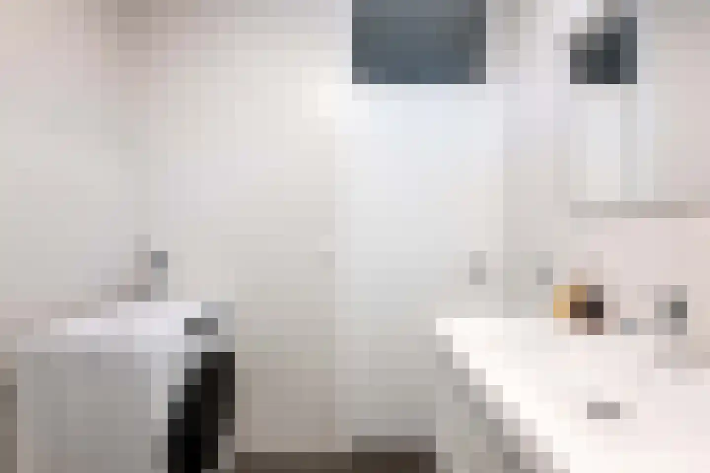 Mari Andriessenrade 77 Capelle aan den IJssel thumbnail 17