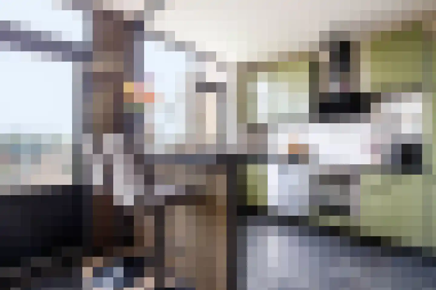 Mari Andriessenrade 88 Capelle aan den IJssel thumbnail 10