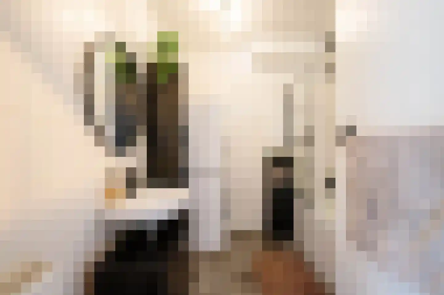 Mari Andriessenrade 88 Capelle aan den IJssel thumbnail 19