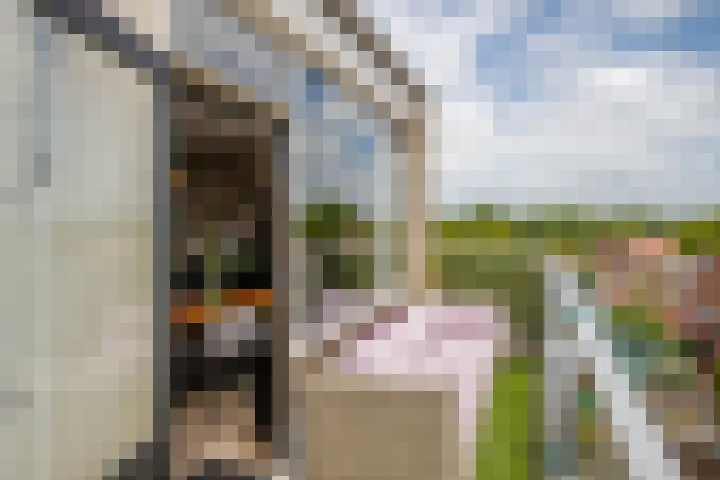 Mari Andriessenrade 88 Capelle aan den IJssel thumbnail 25