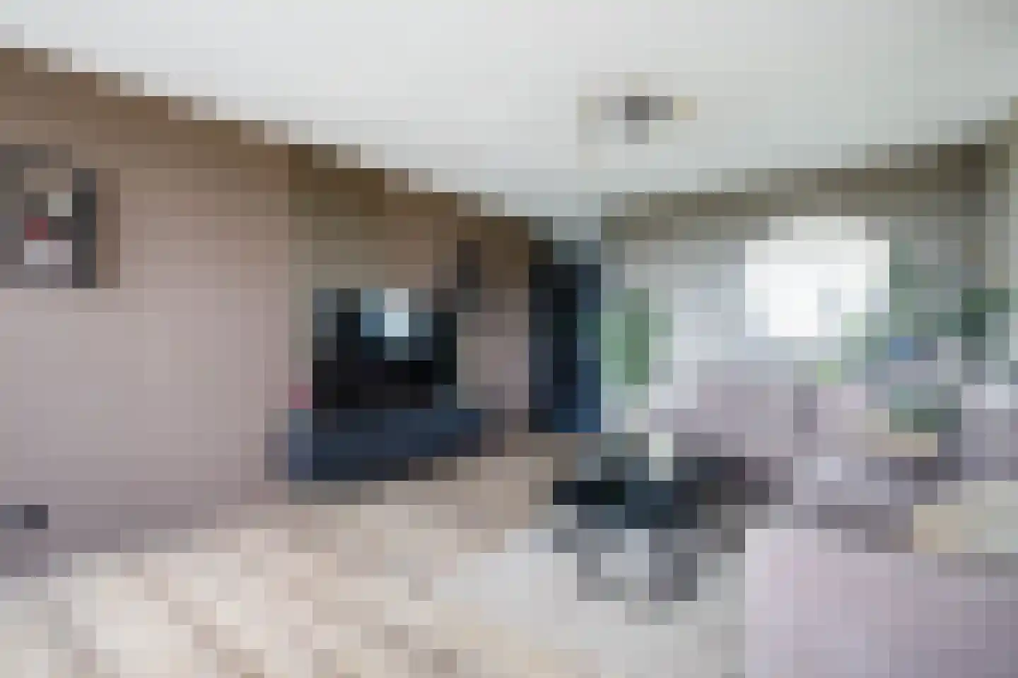 Mari Andriessenrade 88 Capelle aan den IJssel thumbnail 6