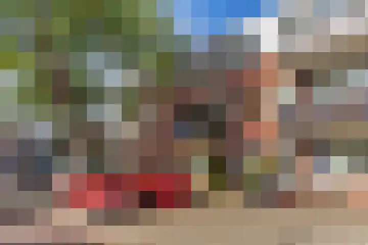 Mari Andriessenstraat 65 in Den Haag