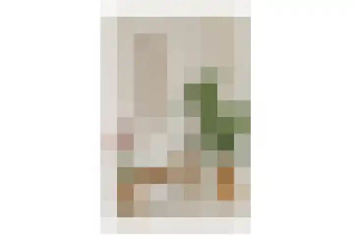 Maria Austriastraat 101 Amsterdam thumbnail 13