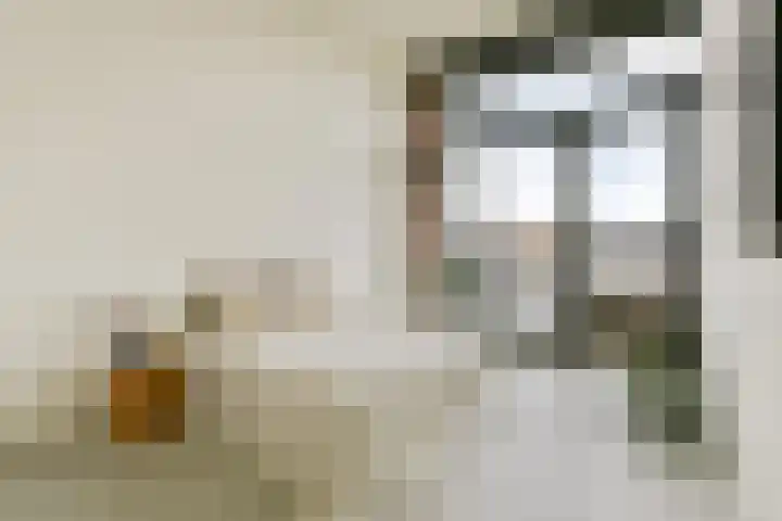 Maria Austriastraat 101 Amsterdam thumbnail 19