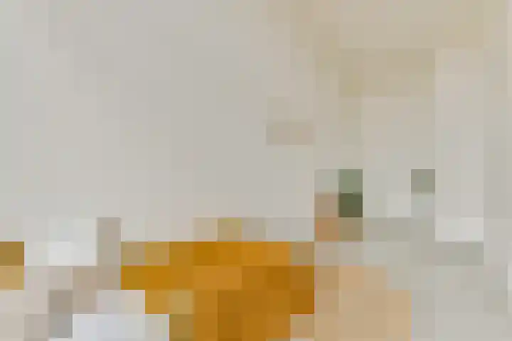 Maria Austriastraat 101 Amsterdam thumbnail 22