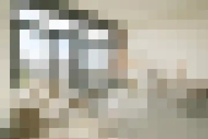 Maria Austriastraat 101 Amsterdam thumbnail 7