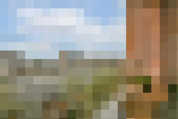 Maria Austriastraat 101 Amsterdam thumbnail 9