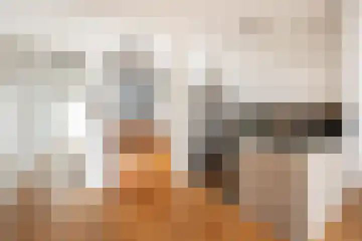 Maria Austriastraat 105 Amsterdam thumbnail 11