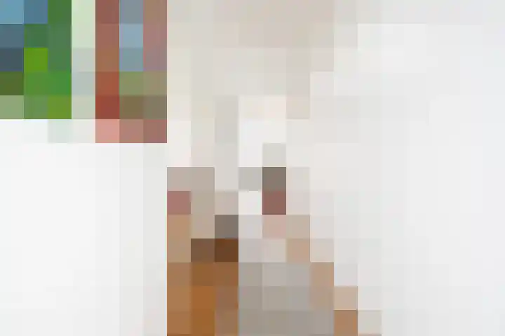 Maria Austriastraat 105 Amsterdam thumbnail 7