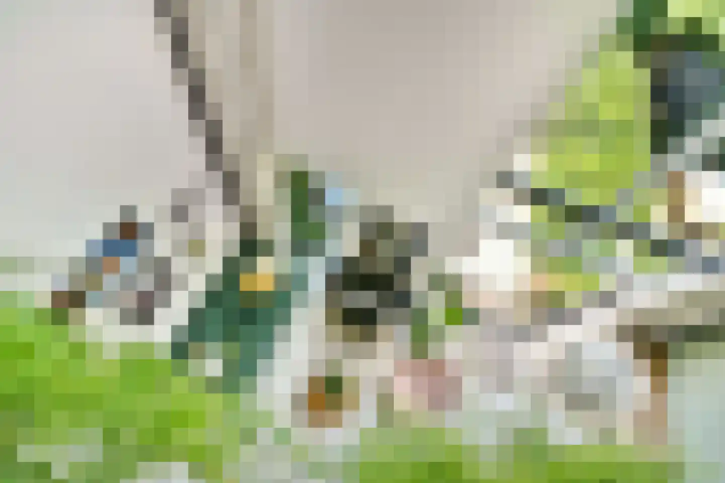 Maria Austriastraat 156 Amsterdam thumbnail 18