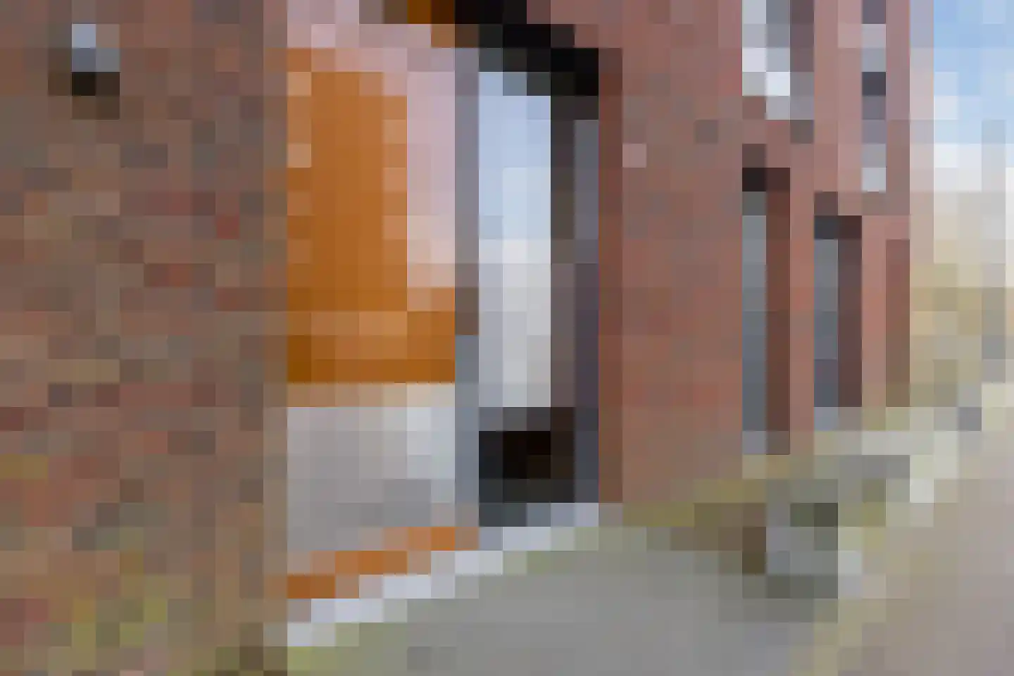 Maria Austriastraat 16 Amsterdam thumbnail 11