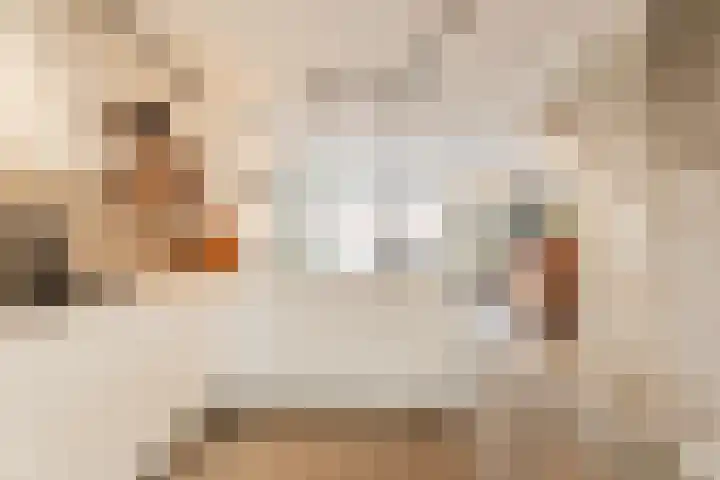 Maria Austriastraat 21 Amsterdam thumbnail 11