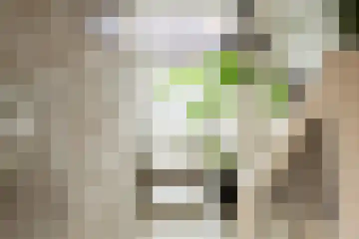 Maria Austriastraat 21 Amsterdam thumbnail 13