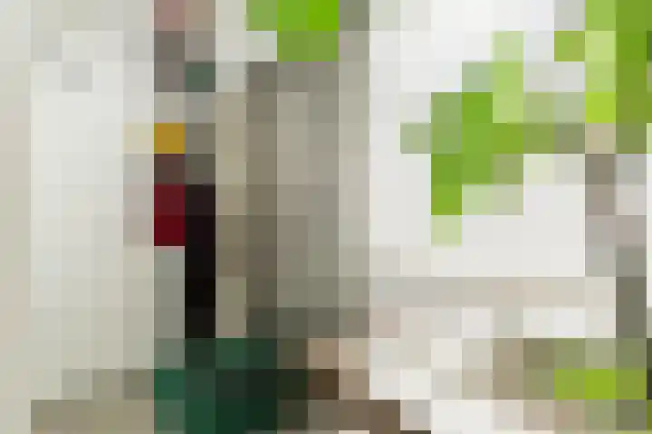 Maria Austriastraat 21 Amsterdam thumbnail 15