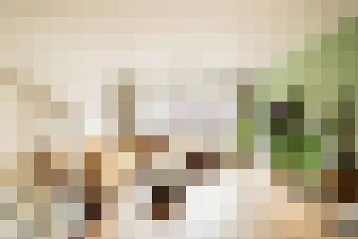 Maria Austriastraat 21 Amsterdam thumbnail 17