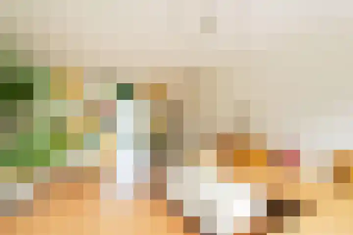 Maria Austriastraat 21 Amsterdam thumbnail 19