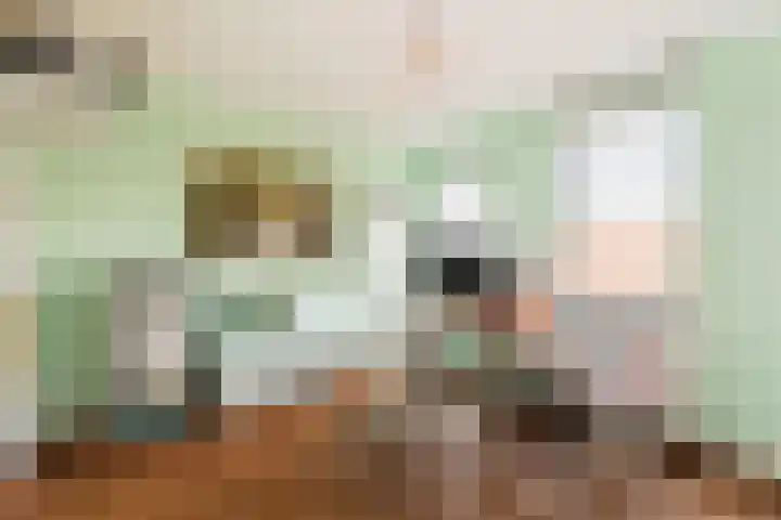 Maria Austriastraat 21 Amsterdam thumbnail 20