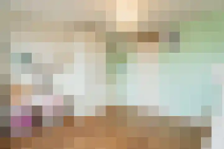 Maria Austriastraat 21 Amsterdam thumbnail 24