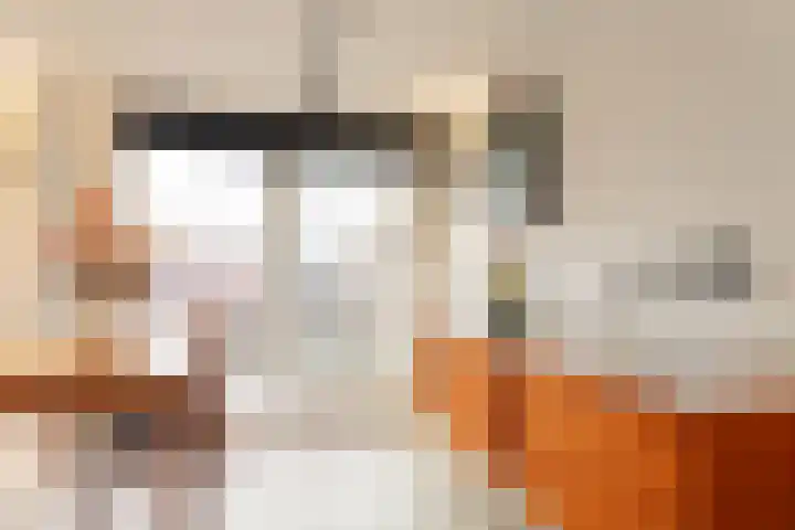 Maria Austriastraat 21 Amsterdam thumbnail 33
