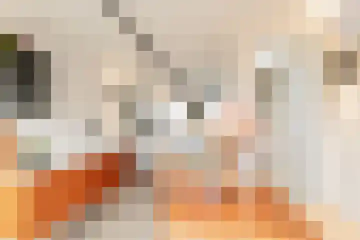 Maria Austriastraat 21 Amsterdam thumbnail 38