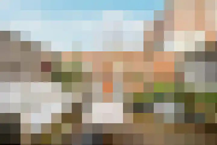 Maria Austriastraat 21 Amsterdam thumbnail 4