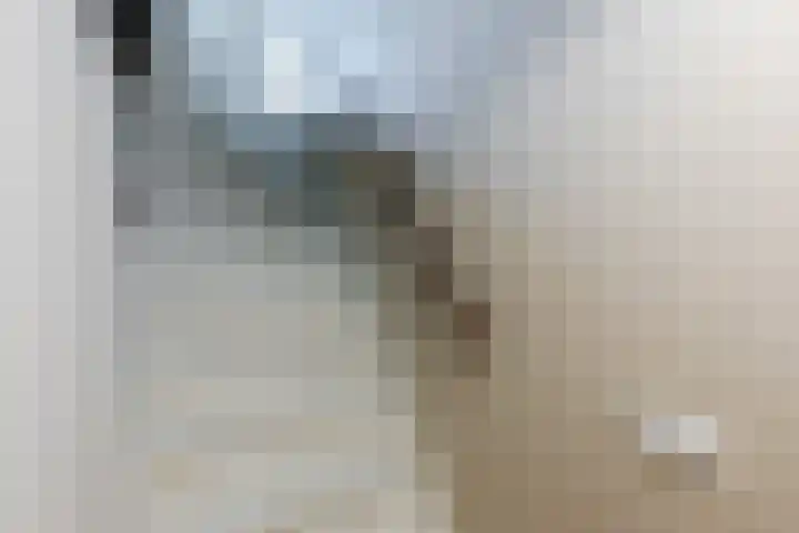 Maria Austriastraat 31 Amsterdam thumbnail 19